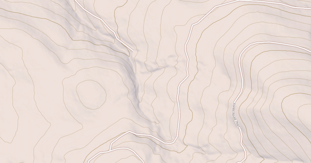 Map preview of USFS National Forest System Roads {8C9D6AD0-0910-46BF-97BD-BA14CAC343F0}