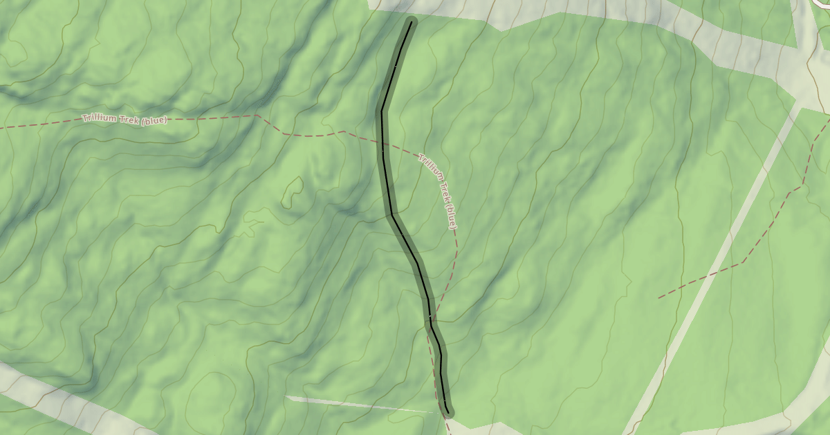 Map preview of Sagamore Glades