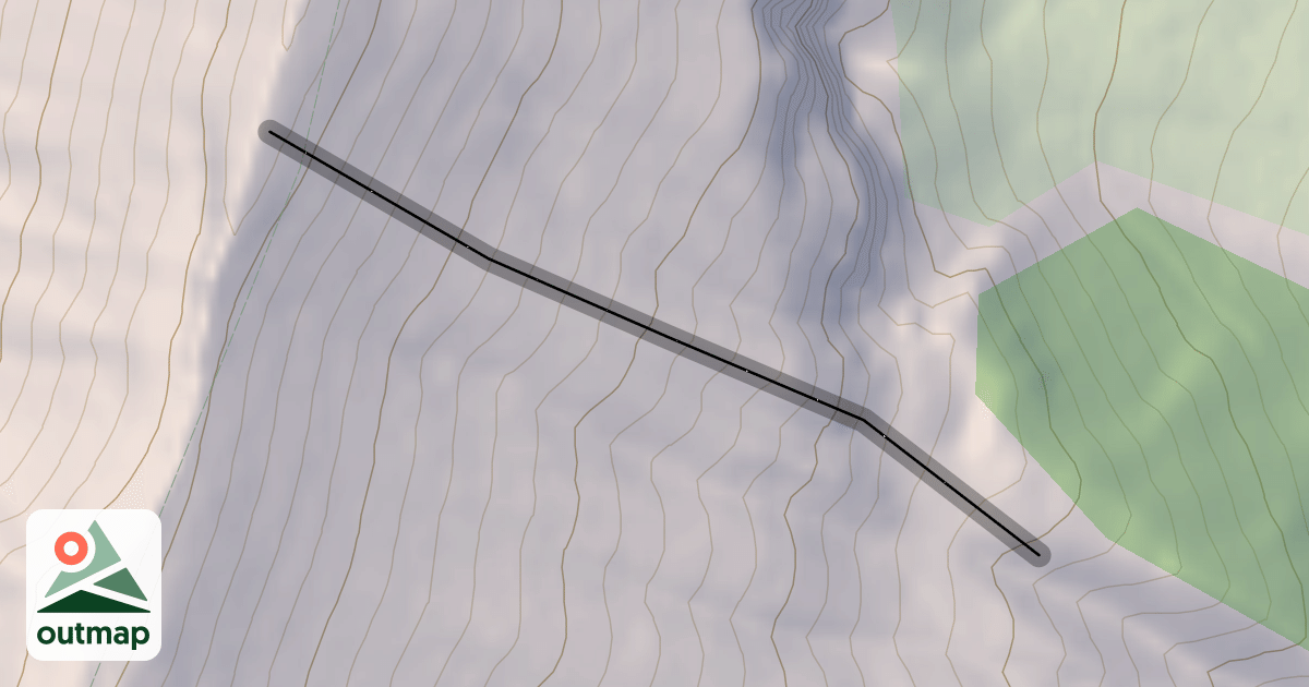 Map of Alizondo's