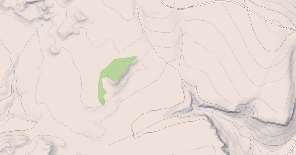 Map preview of BLM National GTLF Public Motorized Roads 4ae64146-8db2-41b0-aec1-5b018db4bd71
