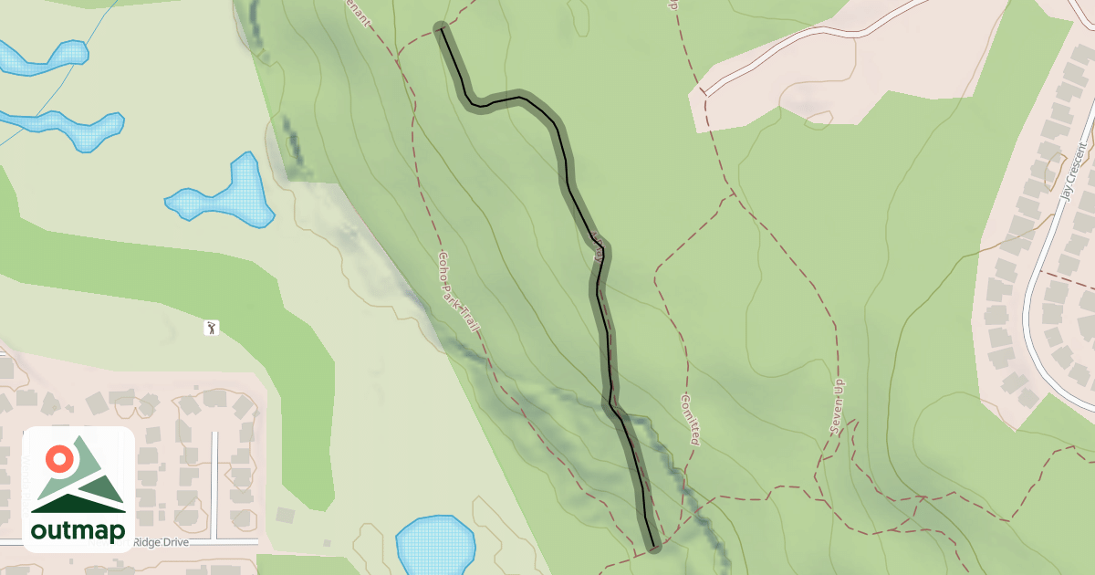 Map of 4 Play