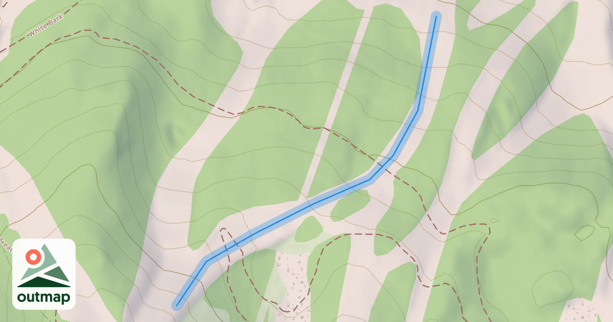 Map of Critters
