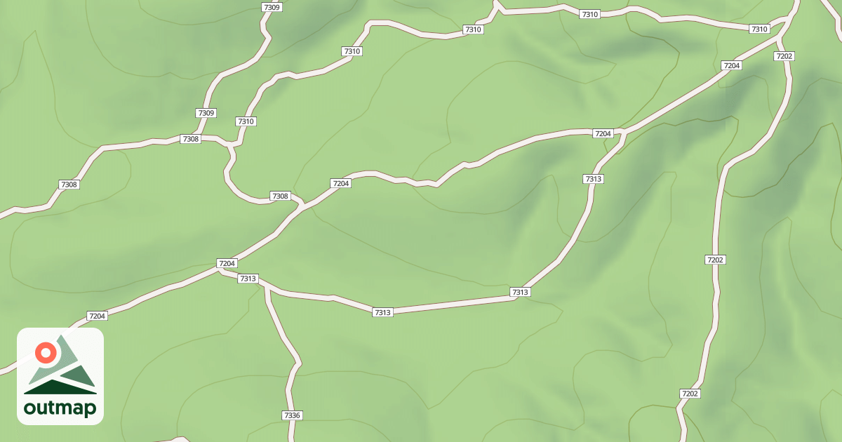 Map of USFS Motor Vehicle Use Map Trails 19936