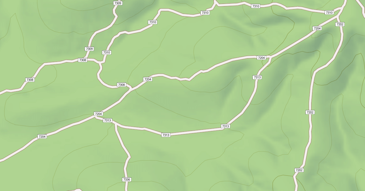 Map preview of USFS Motor Vehicle Use Map Trails 19936