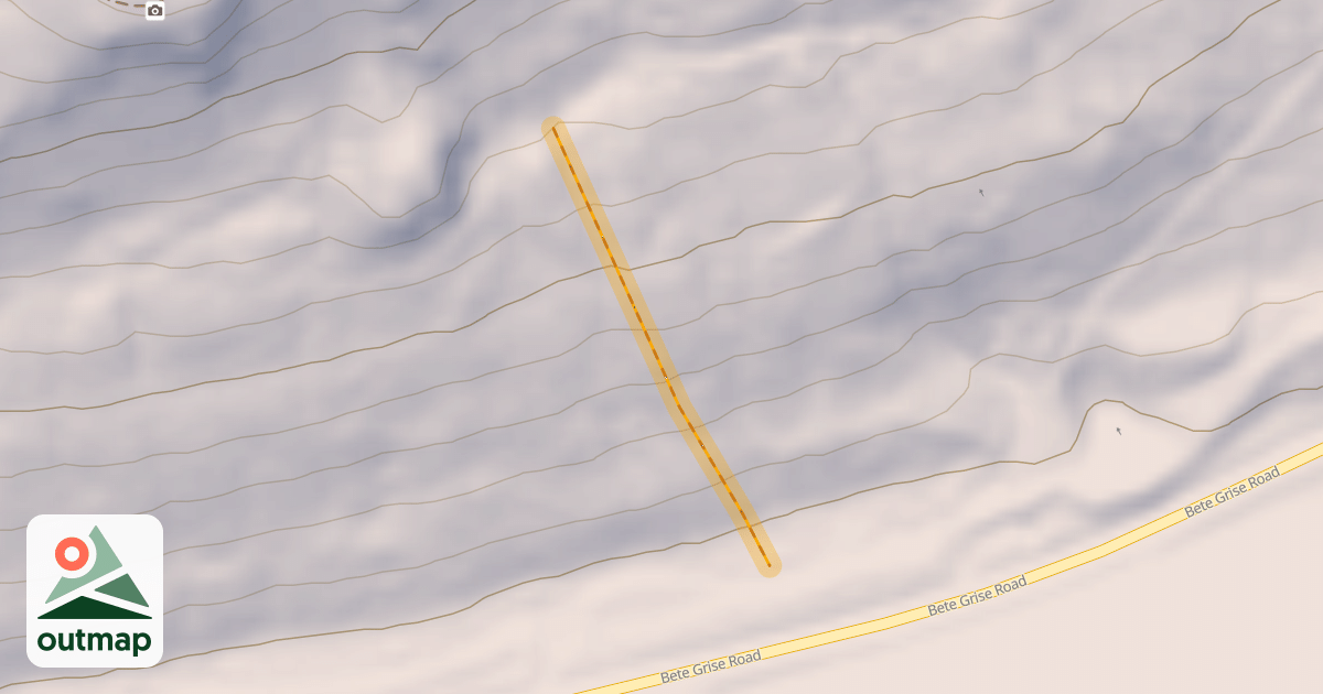 Map of Bumbling Bee
