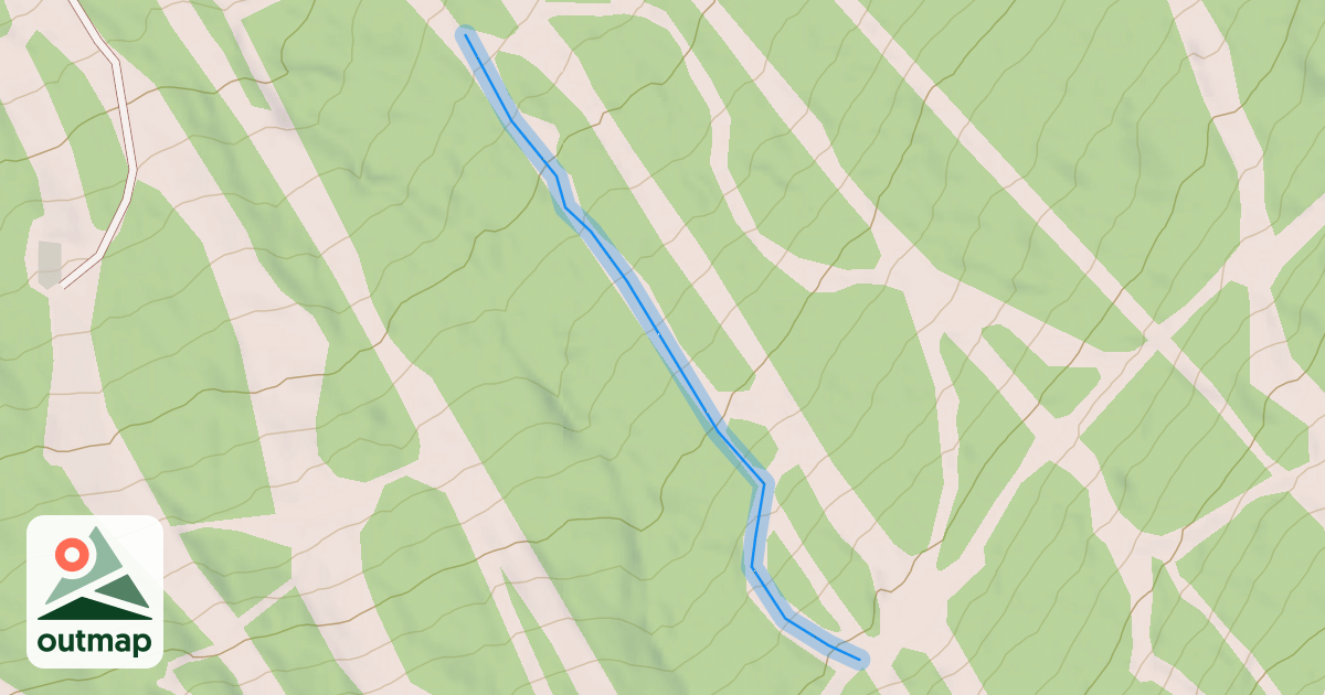 Map of Alley-Cat