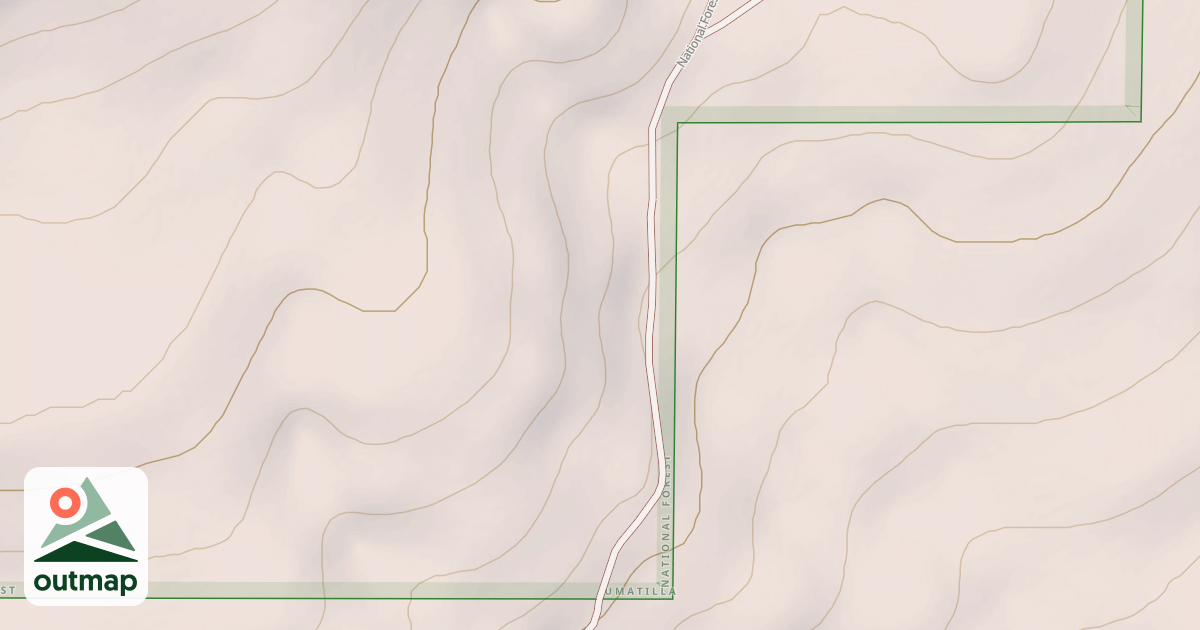 Map of USFS National Forest System Roads {5489E64F-FD32-48EF-9733-4B78CBF1D9F3}