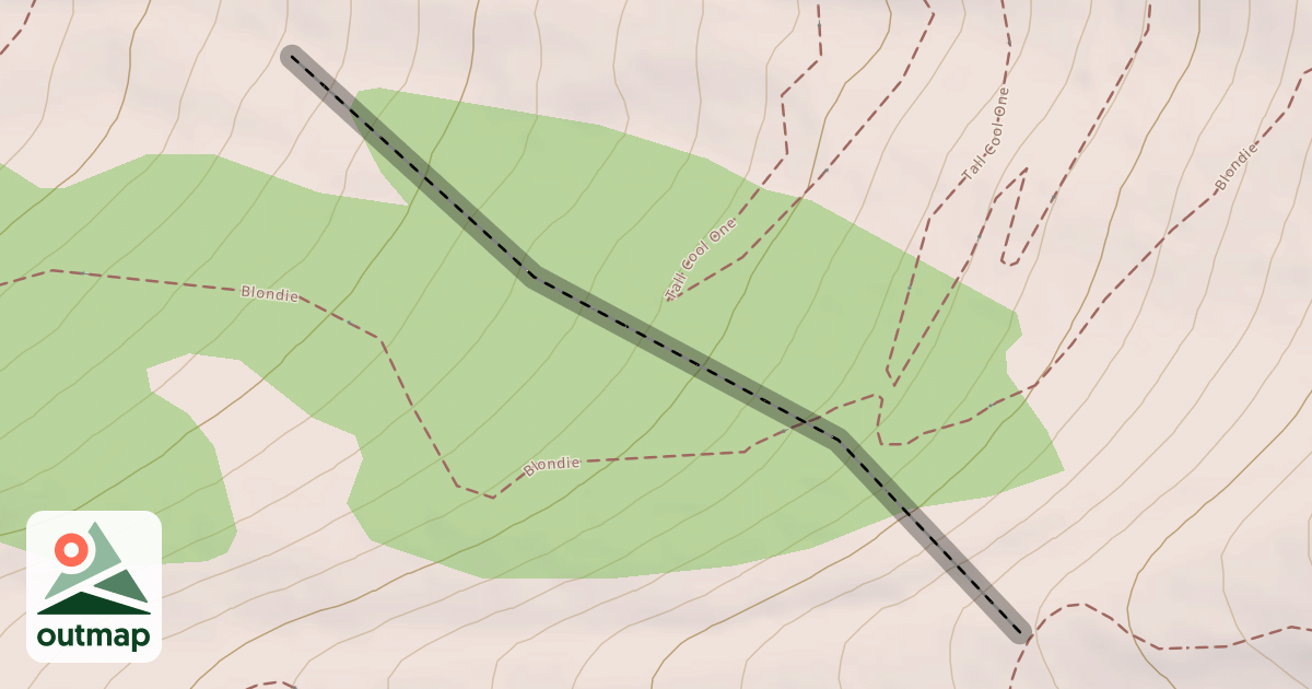 Map of The Bad