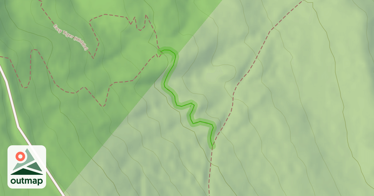 Map of Easy Tiger (Lower)
