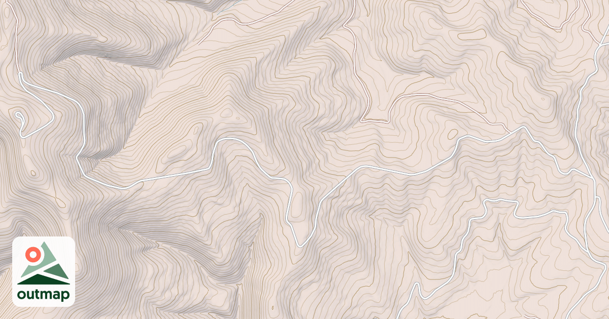Map of BLACK PINE
