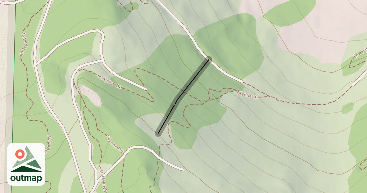 Map of 5 Trees