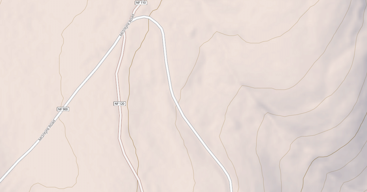 Map preview of USFS Motor Vehicle Use Map Roads {9725E834-C1E1-46B3-AD62-E1D121D7697B}