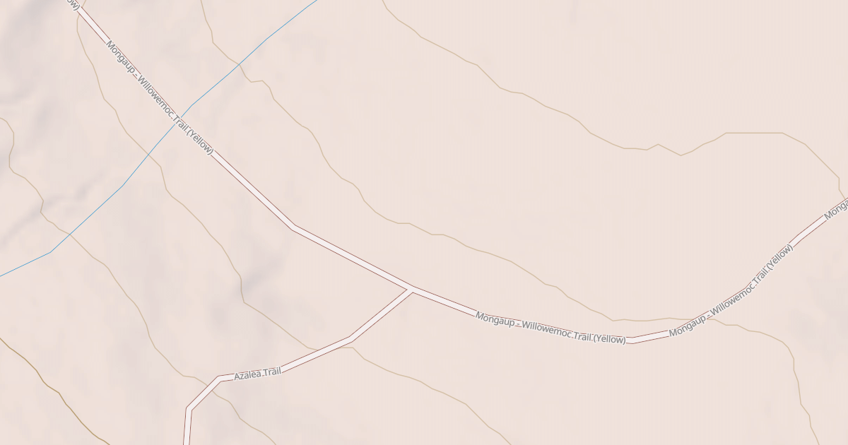 Map preview of Mongaup Willowemoc Trail