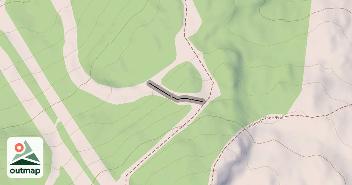 Map of Lynx Lair
