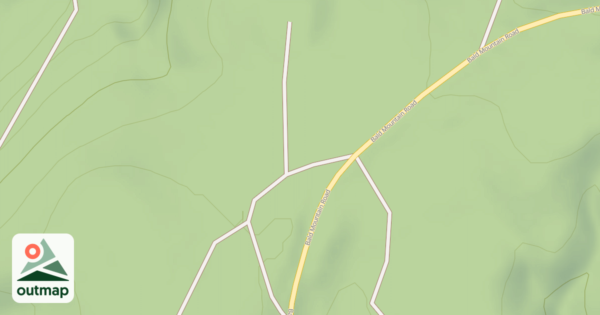 Map of Mutant Ferns