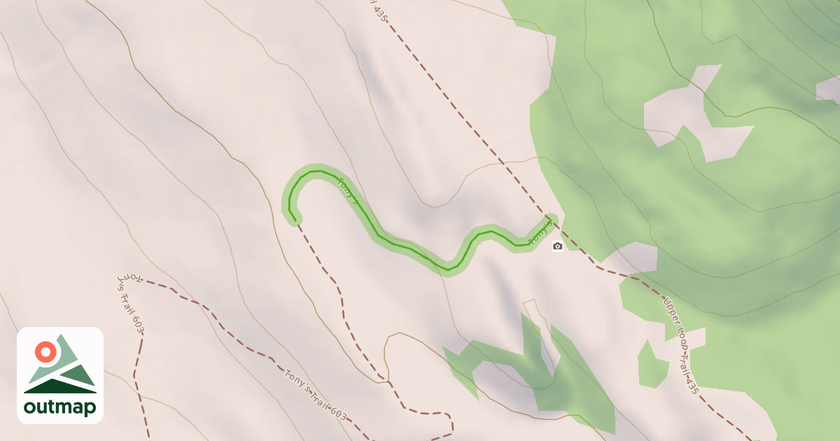 Map of Tony's