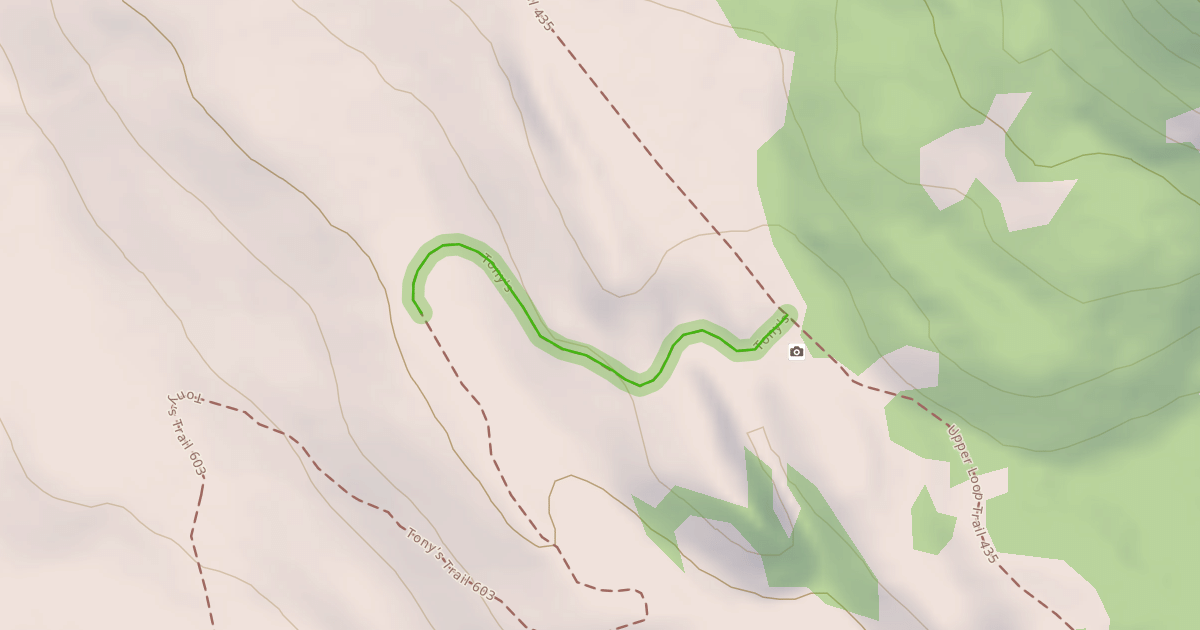 Map preview of Tony's