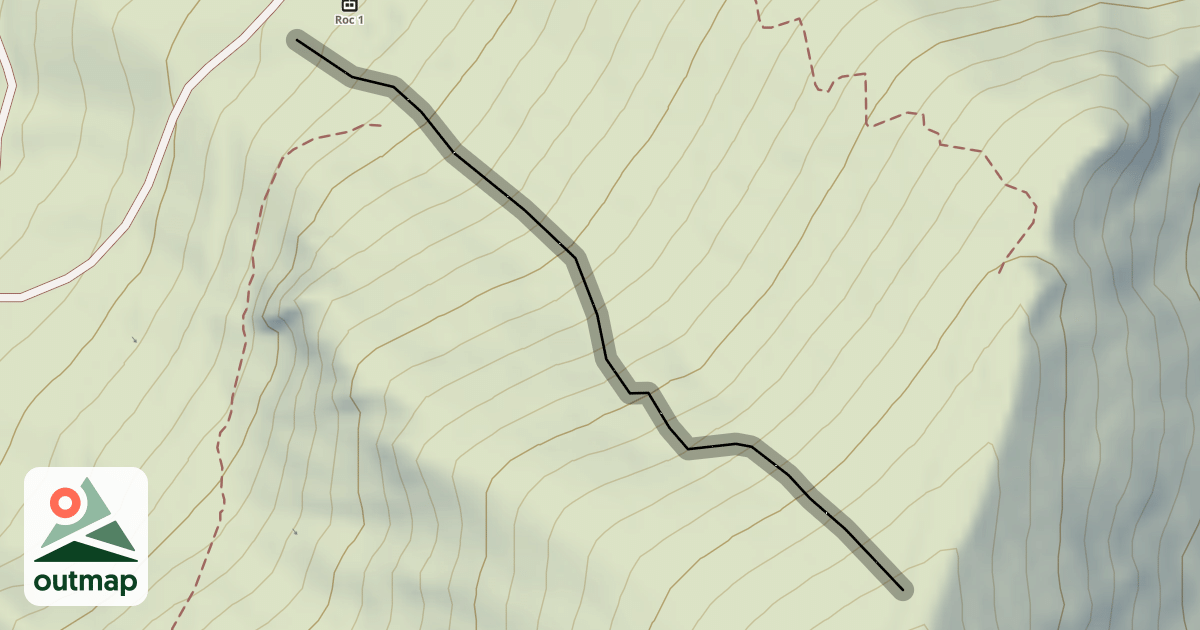 Map of Rhododendrons