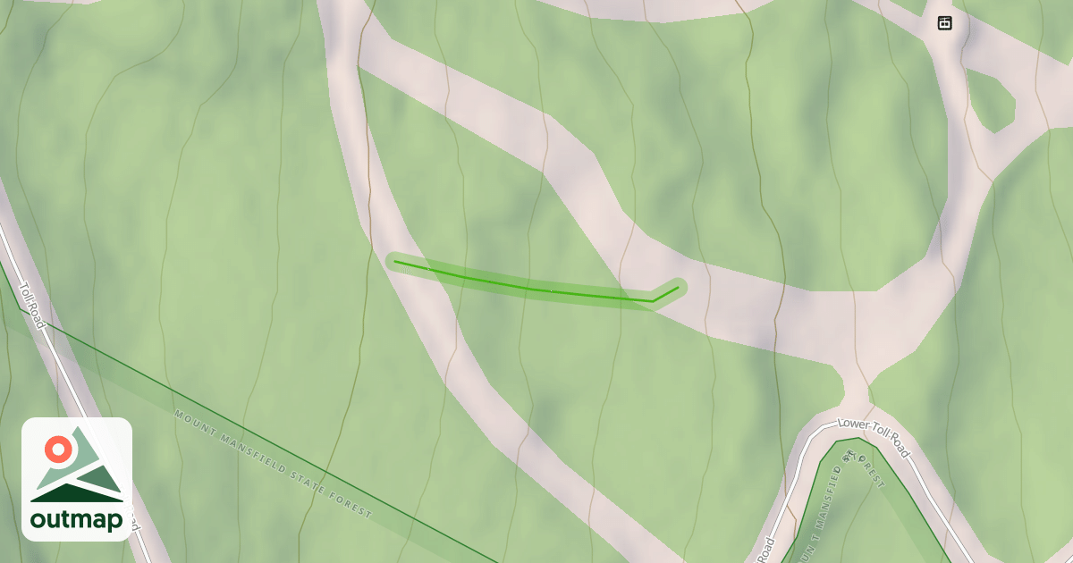 Map of Birch Glades