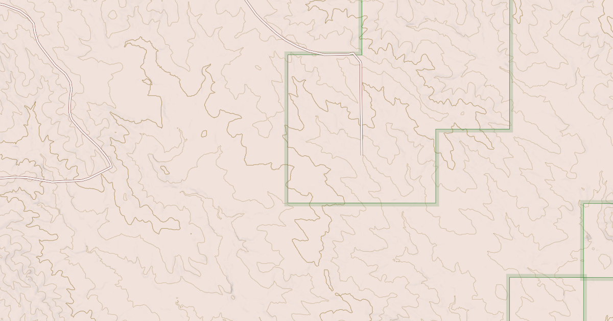 Map preview of USFS National Forest System Roads {256EE5D5-16CF-4DE4-9816-621F3A46D0AB}