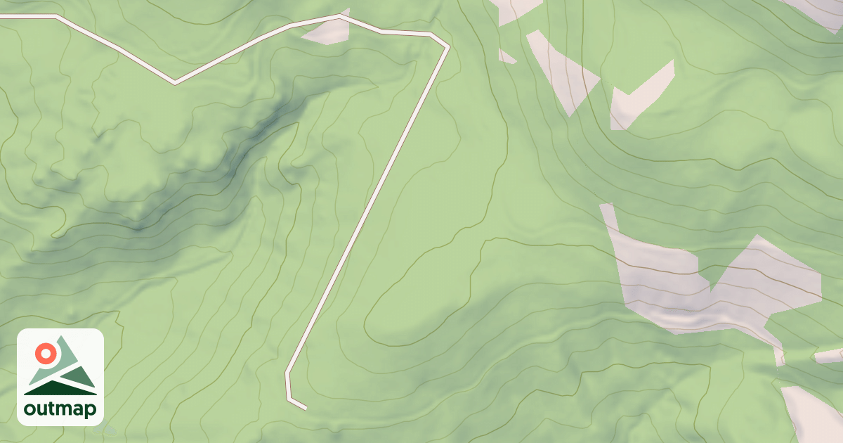 Map of USFS National Forest System Roads {8E8FF311-A18E-45FE-8C16-B6BE9E27C941}