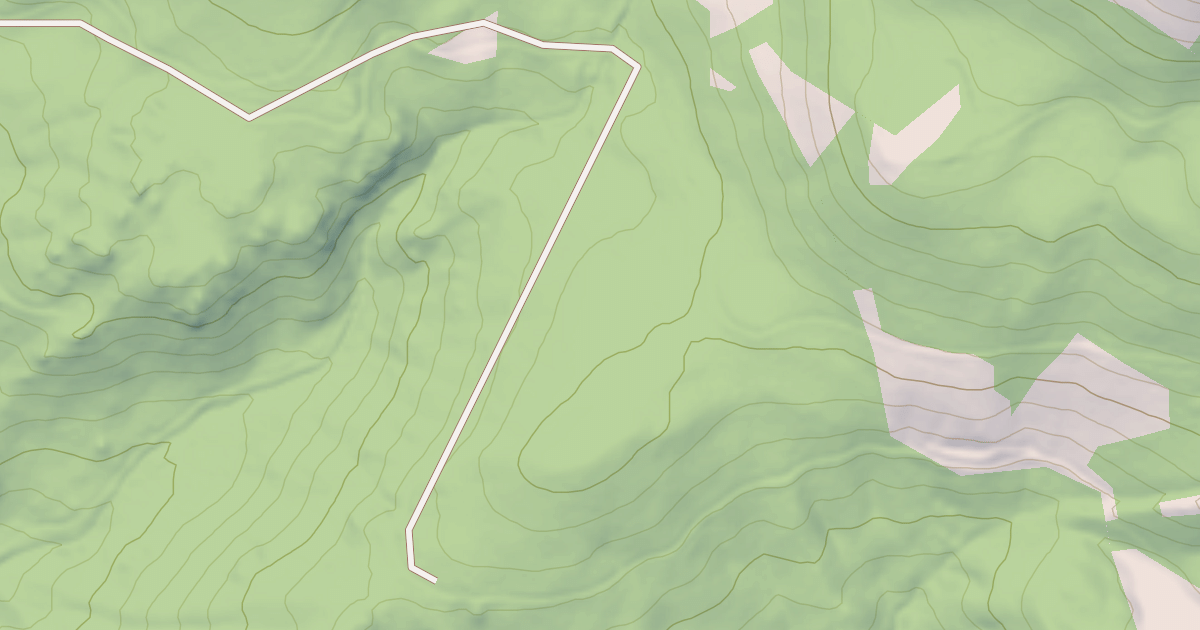 Map preview of USFS National Forest System Roads {8E8FF311-A18E-45FE-8C16-B6BE9E27C941}