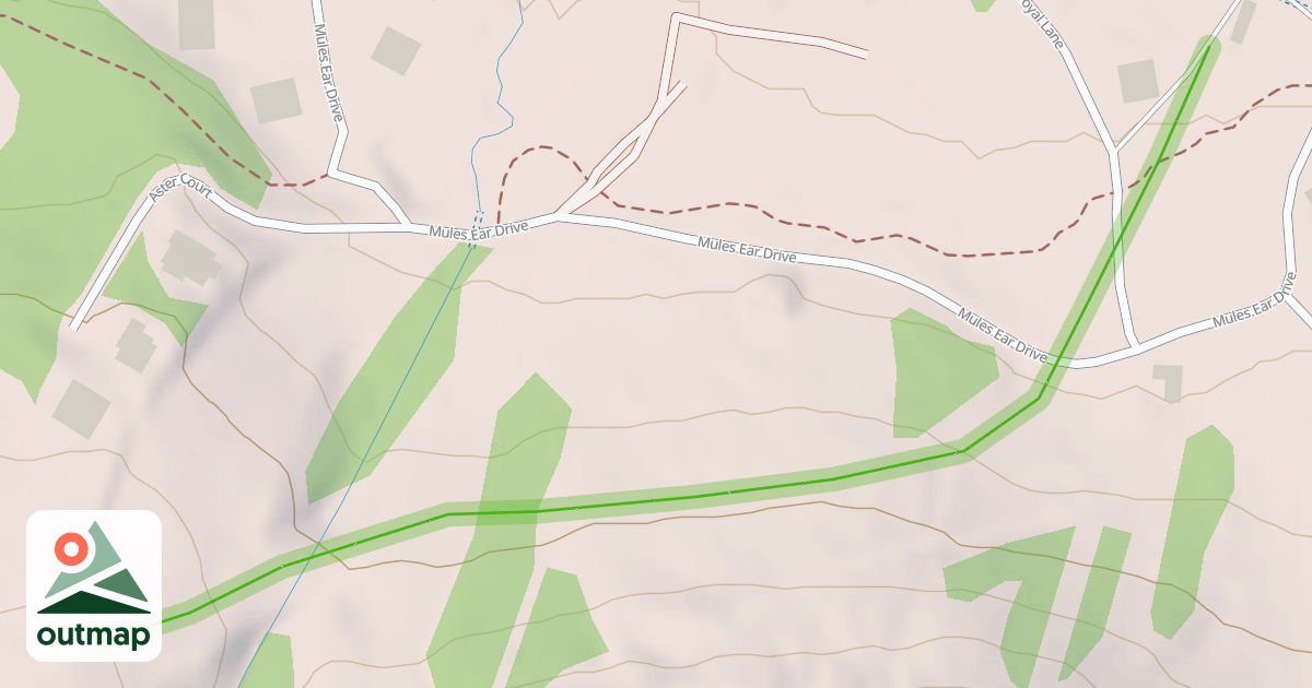 Map of Disney Return