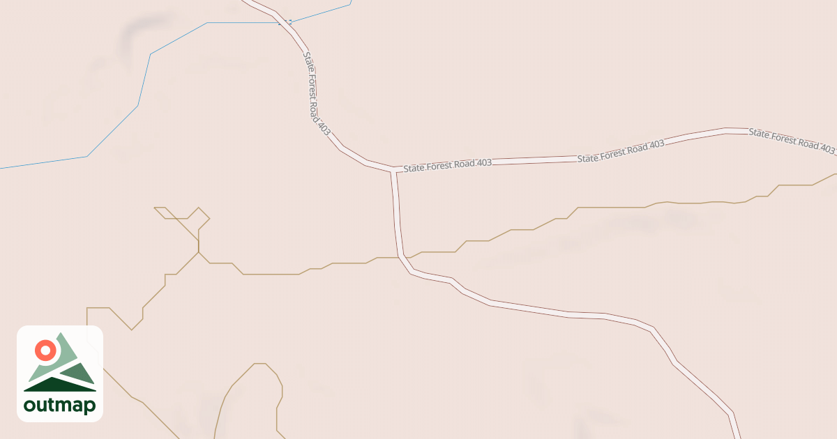 Map of Forest Riders Trails