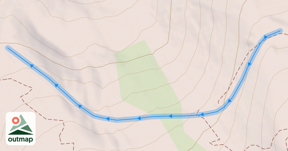 Map of Transition