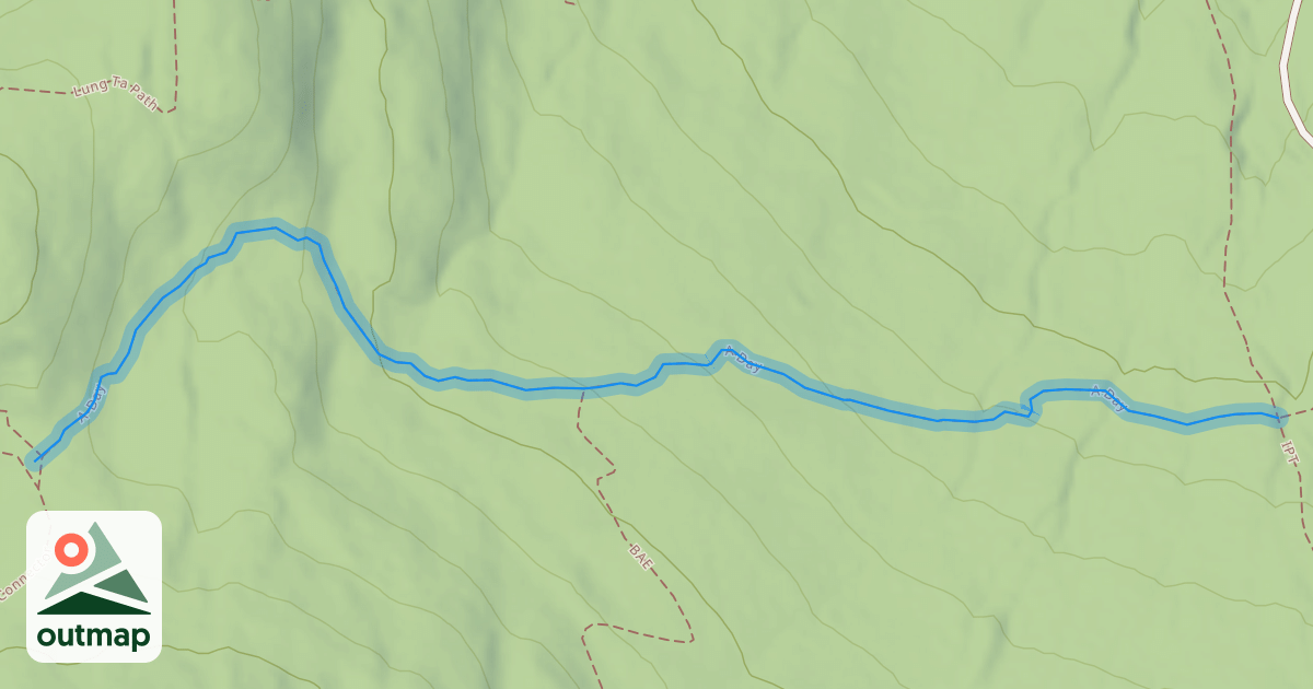 Map of A-Day