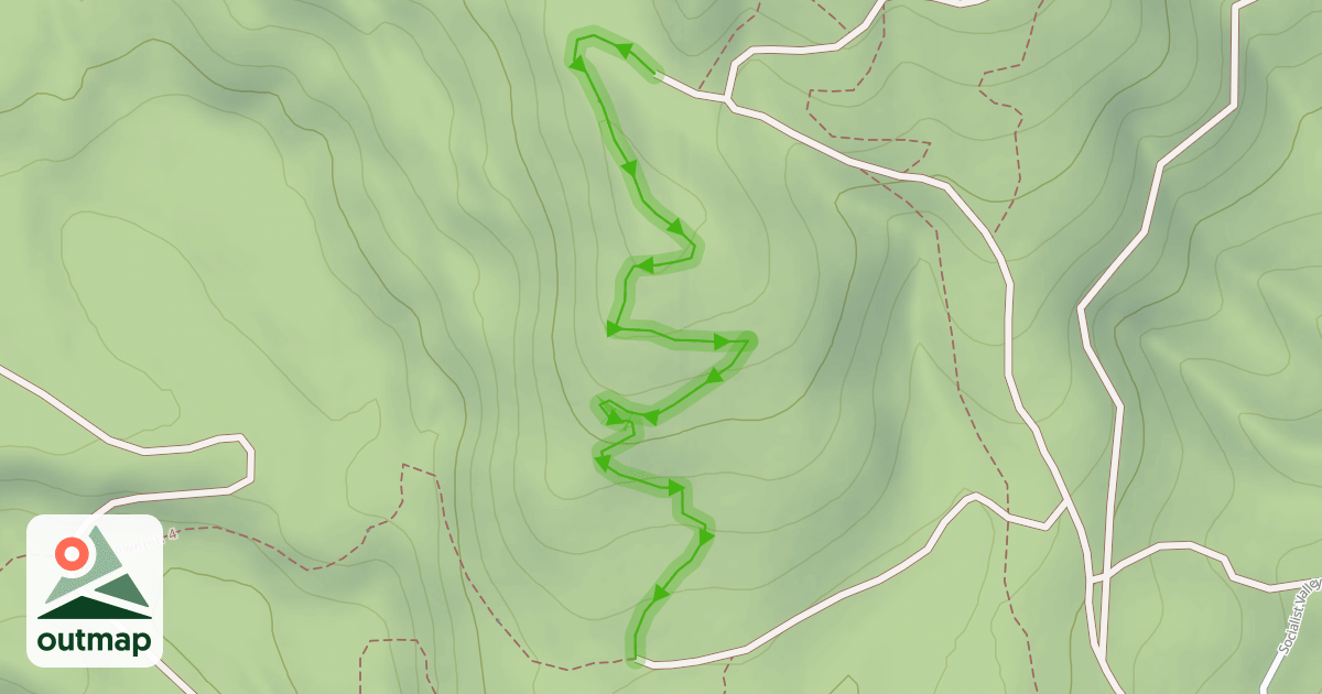 Map of Bonzai Downhill 3