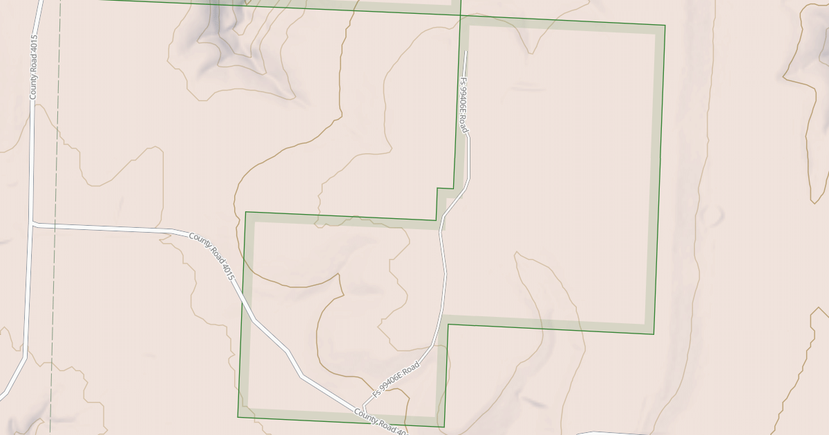 Map preview of USFS Motor Vehicle Use Map Roads {D3E12A7E-703B-4290-AACE-5667B50FAE5E}