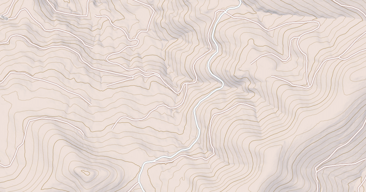 Map preview of USFS Motor Vehicle Use Map Roads {0AA1F82C-1E0E-4E60-9B6C-95D4308107AD}