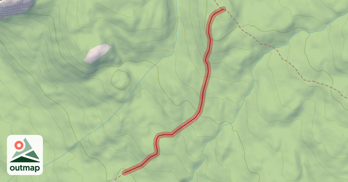 Map of Neuralyzer