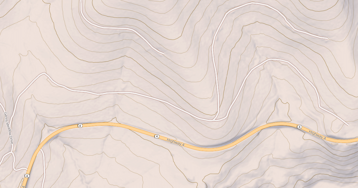 Map preview of USFS National Forest System Roads {31048AF6-A594-45B8-A9DA-105E0EEBBD80}