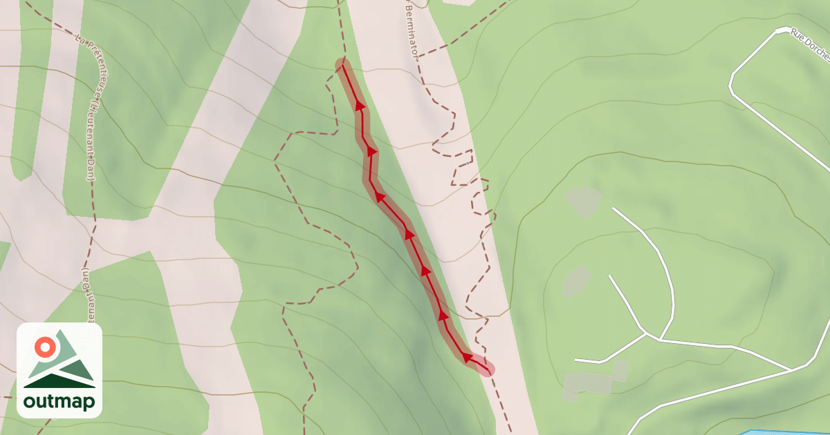 Map of 23 King (bas)