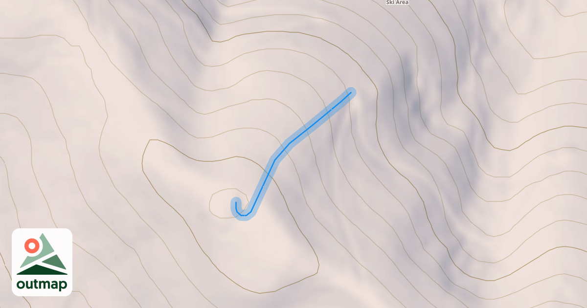 Map of Upper Face