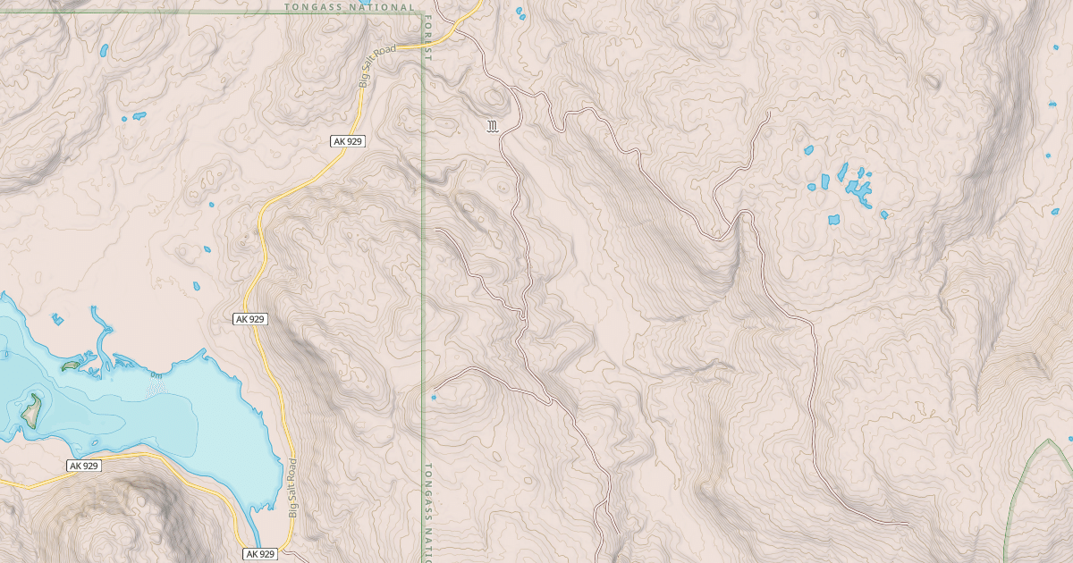 Map preview of LAKE ELLEN ROAD WEST