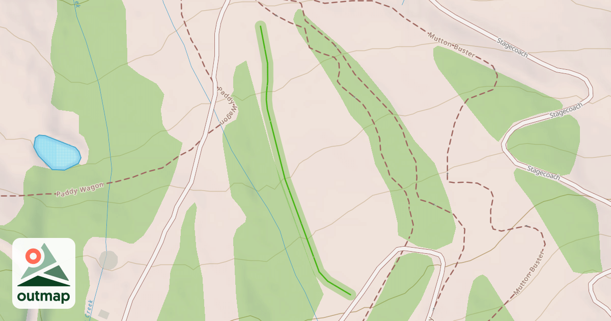 Map of Magic Forest