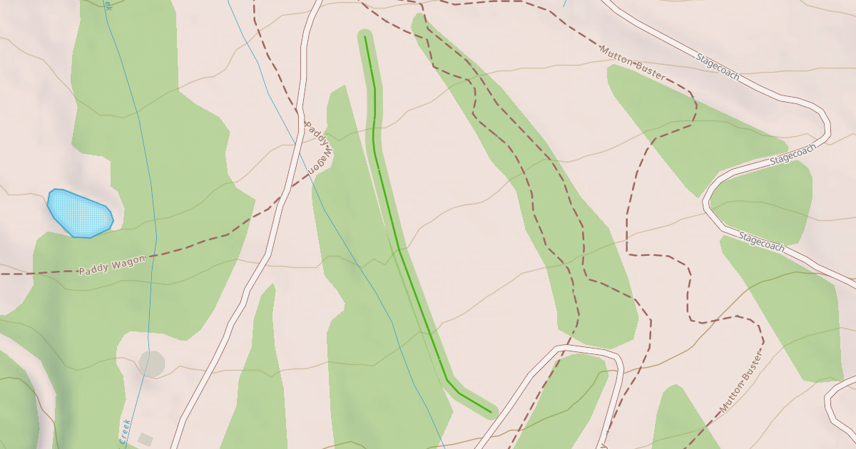 Map preview of Magic Forest