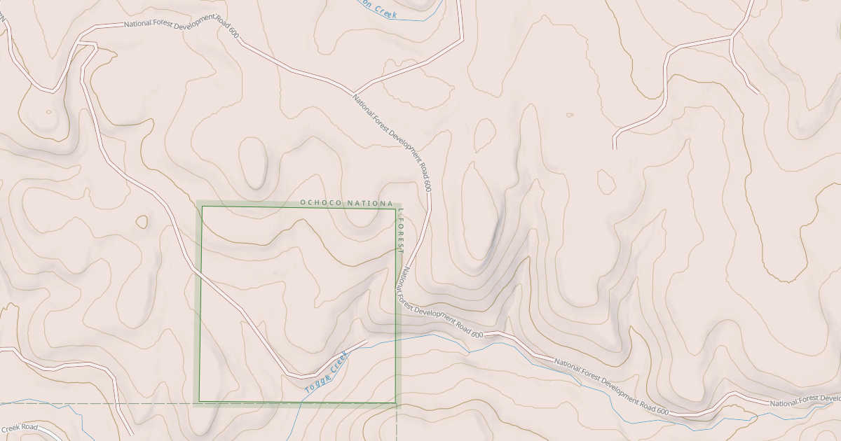 Map preview of USFS National Forest System Roads {B98CA9B0-2A20-4D65-9CC5-2D712E7324FB}