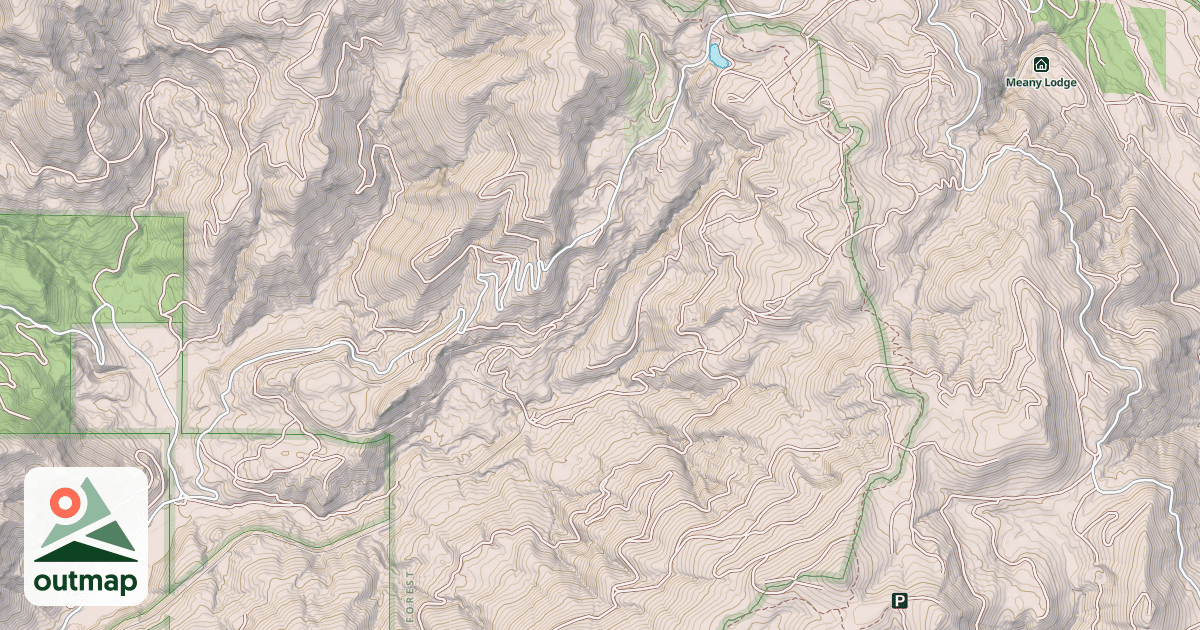 Map of LIZARD LAKE/BORUP