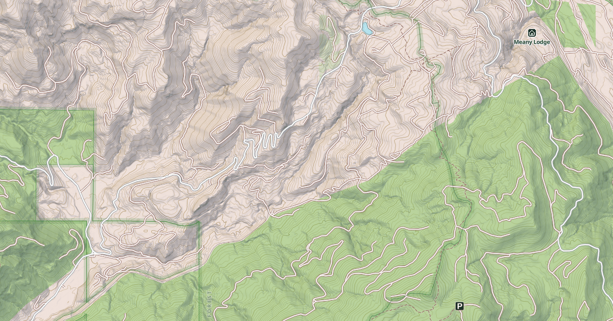 Map preview of LIZARD LAKE/BORUP