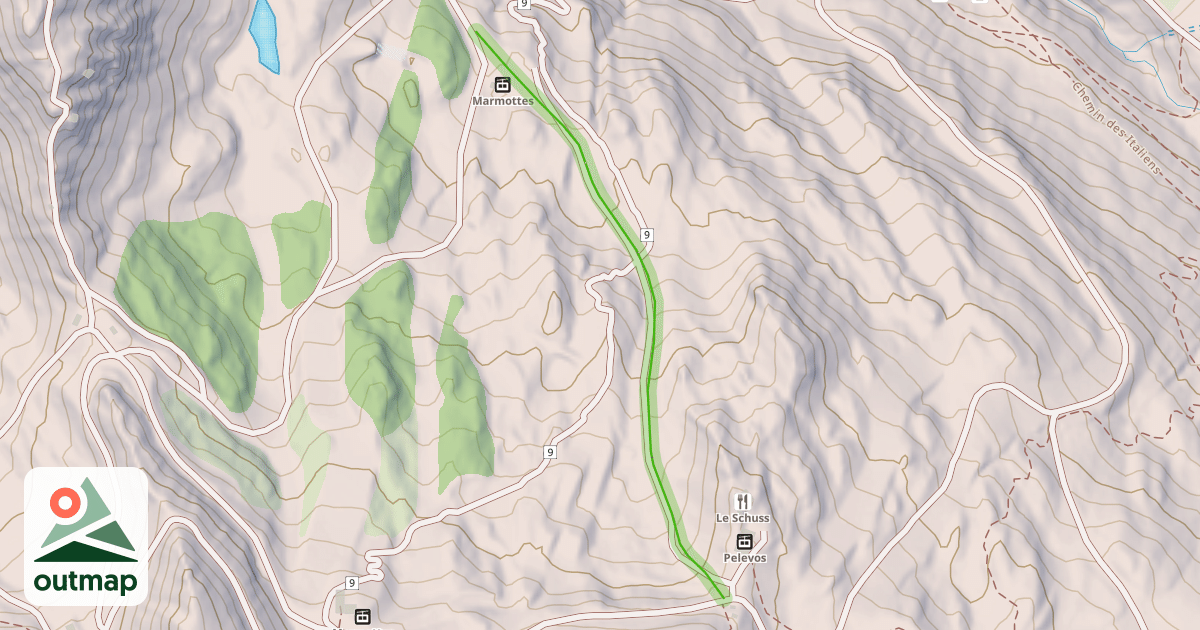 Map of Tetras
