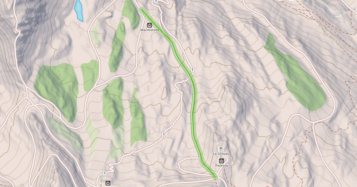 Map preview of Tetras