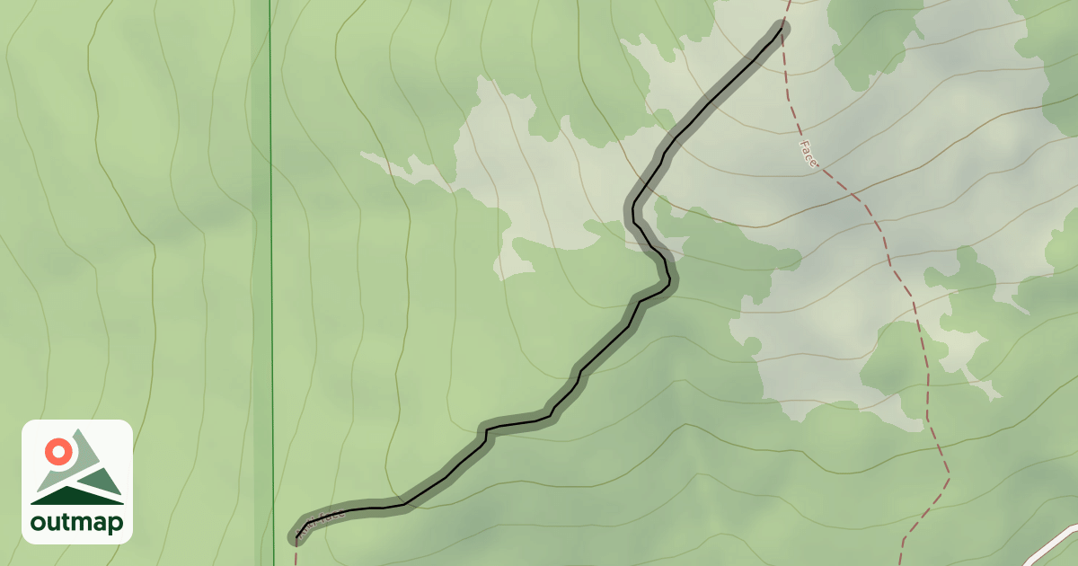 Map of Anti-face