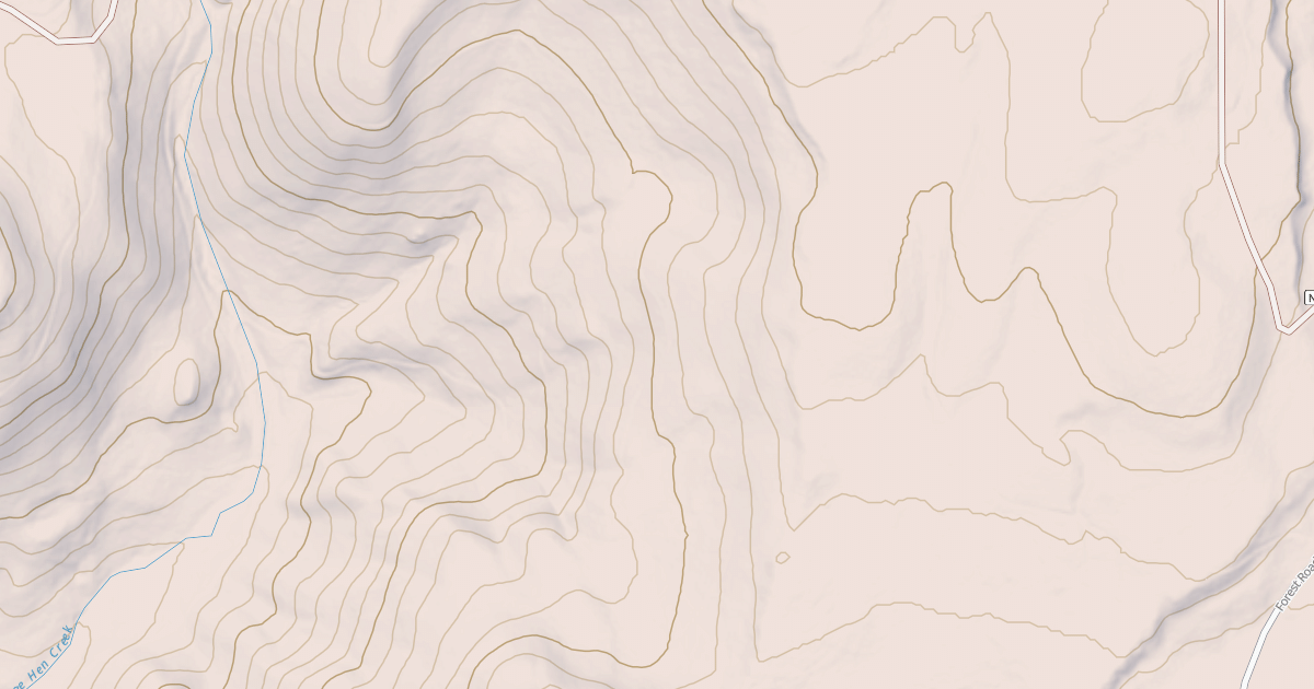 Map preview of USFS National Forest System Roads {2C95A989-3043-45CC-ADC8-70B7D087CFEB}