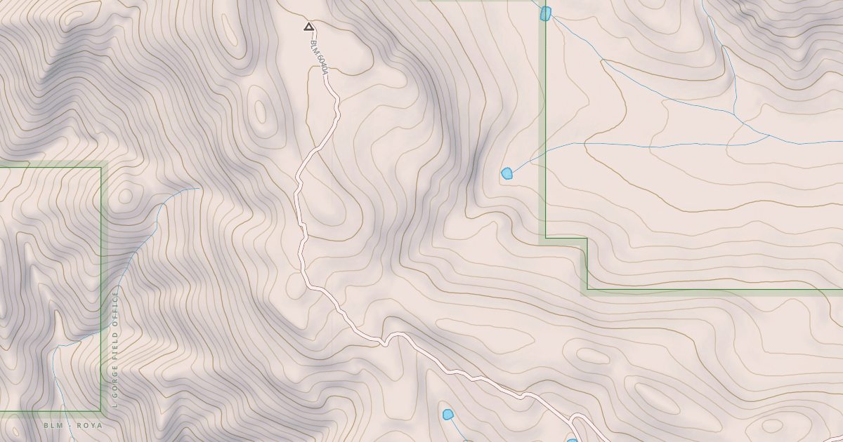 Map preview of BLM National GTLF Public Motorized Roads dae25911-413e-4eb8-a1f9-b88feca22ecd