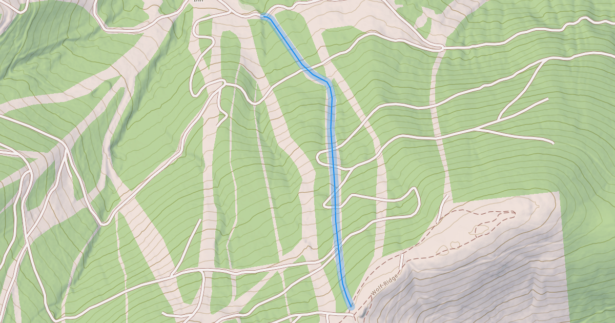 Map preview of Stella's Run