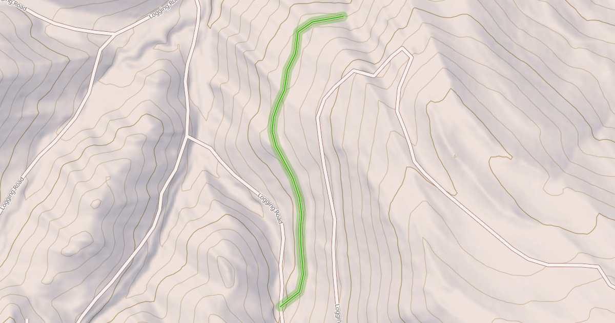 Map preview of Logging Road